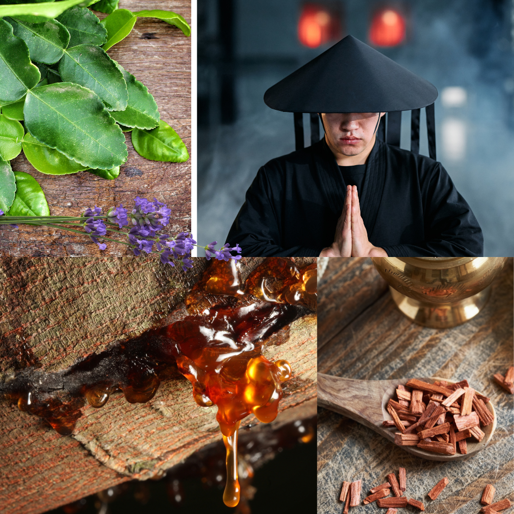 HOTEL ORIENTAL MANDARIN (conc)