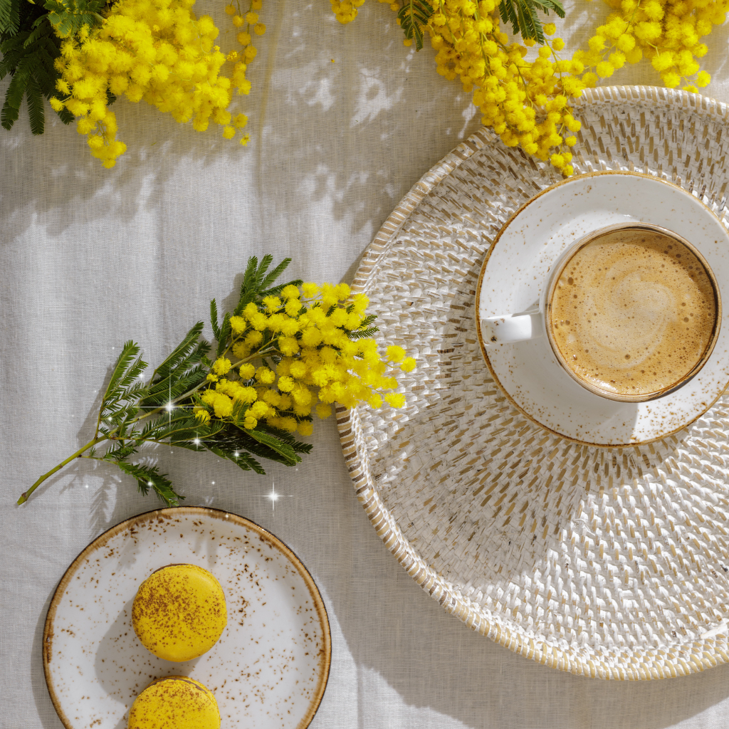 <tc>LINO EGIPCIO Y MIMOSA</tc>