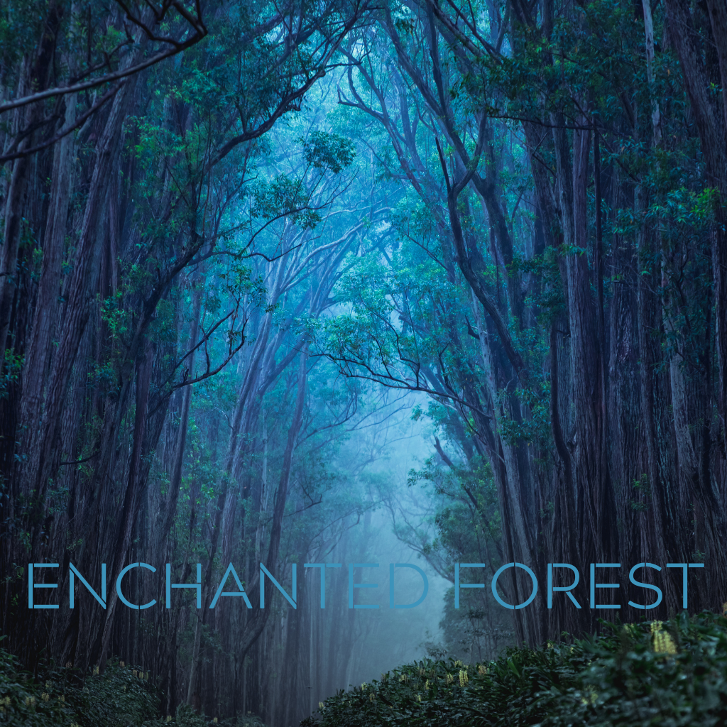 ENCHANTED FOREST - Eco Candle Project