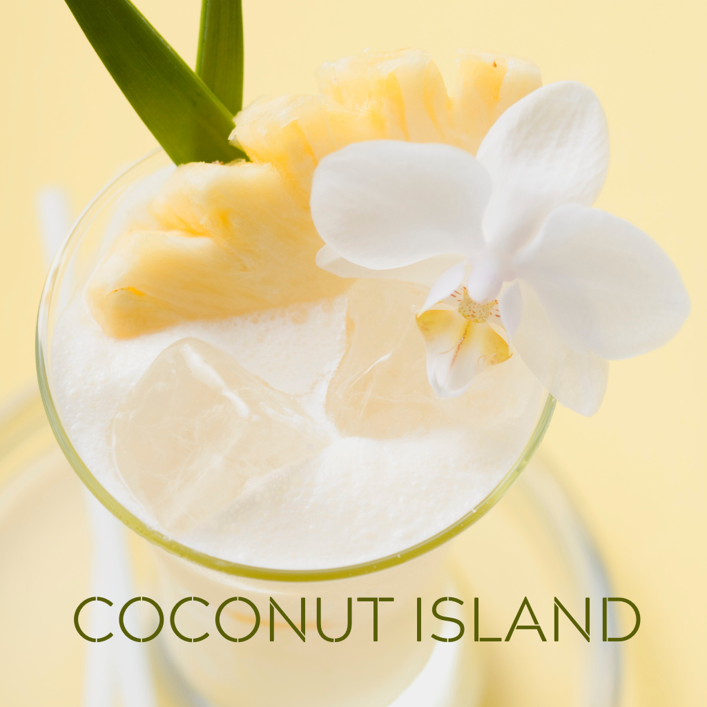 COCONUT ISLAND - Eco Candle Project