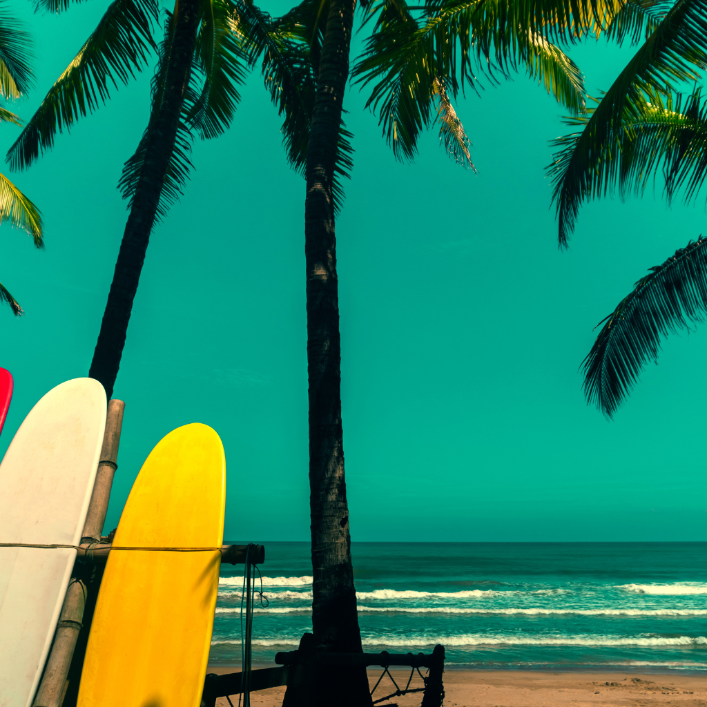 <tc>MIAMI OCEAN DRIVE</tc>