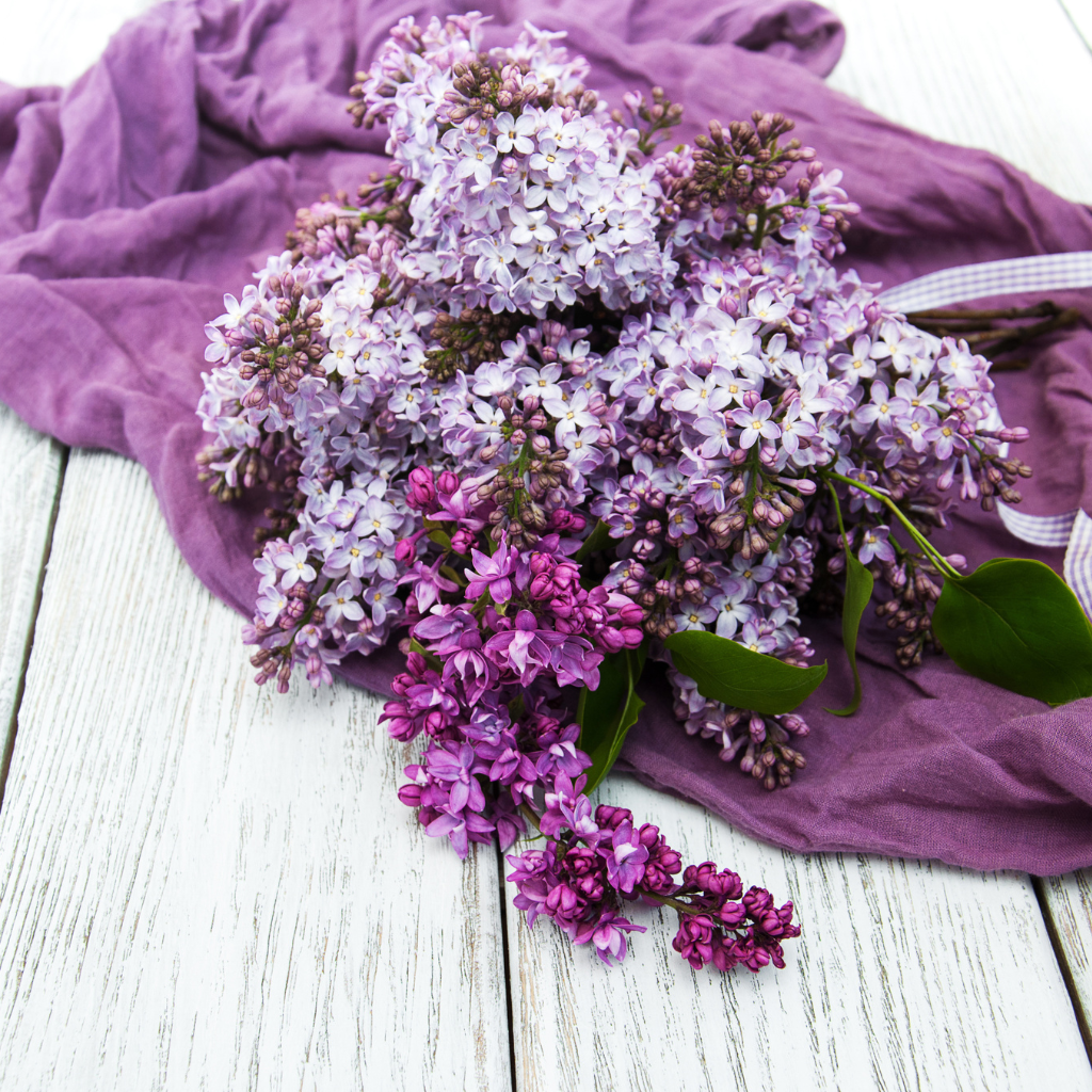DARK PURPLE SUEDE - Eco Candle Project