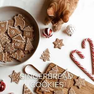 GINGERBREAD COOKIES - Eco Candle Project 