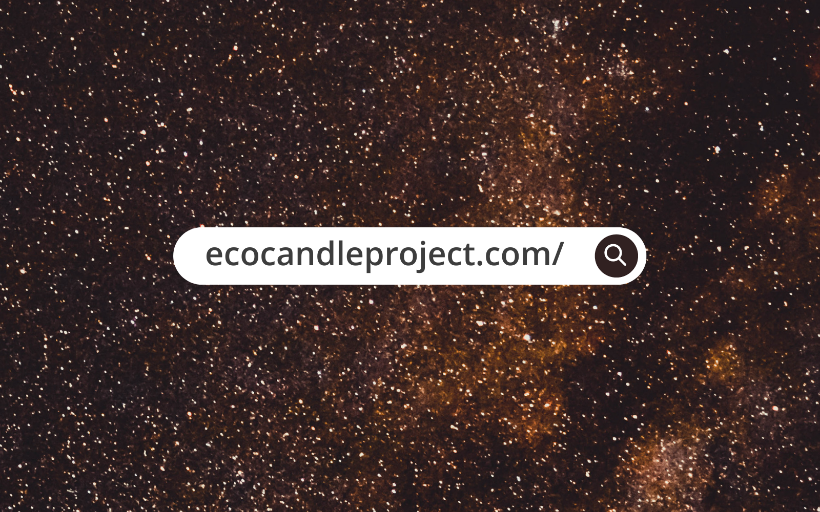 HOW TO NAVIGATE ON OUR WEBSITE? 🚀