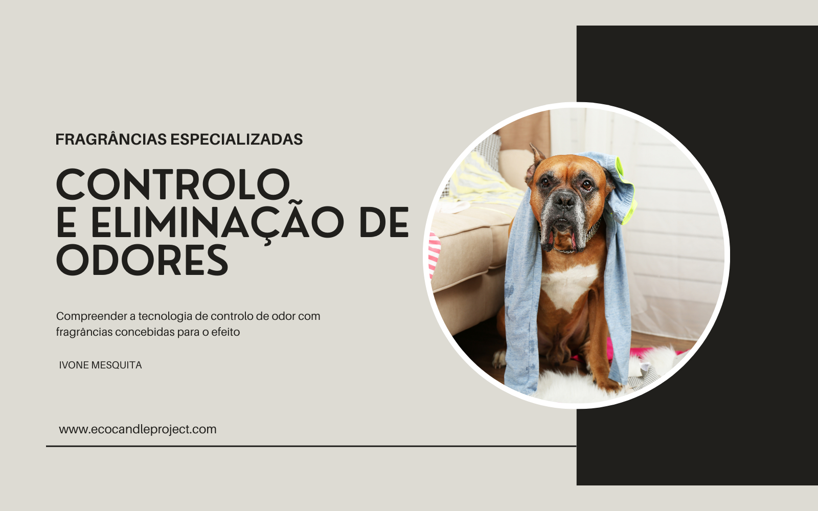 ODOR ELIMINATION TECHNOLOGY (ENGLISH/PORTUGUESE VERSIONS )