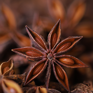 STAR ANISE , WHOLE