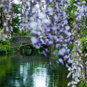 <tc>IL MIO GIARDINO SEGRETO</tc>