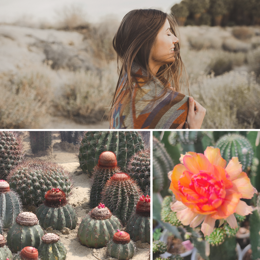 DUNE FLOWERS - Eco Candle Project 