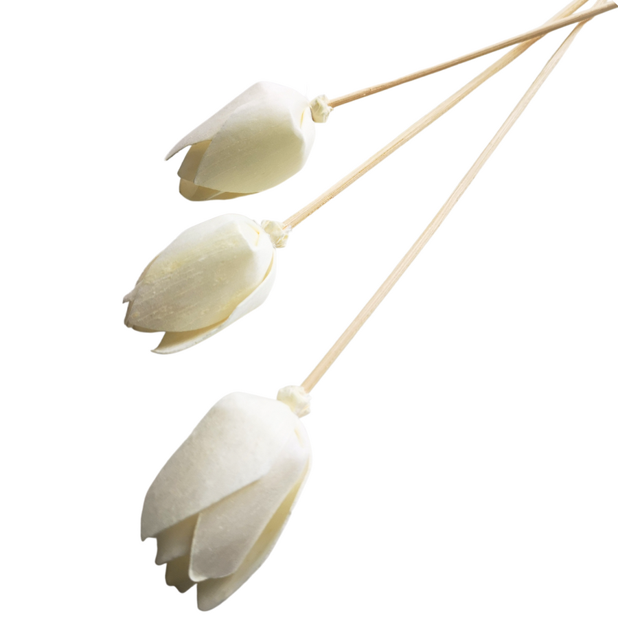TULIP FLOWER WITH RATTAN - Eco Candle Project 