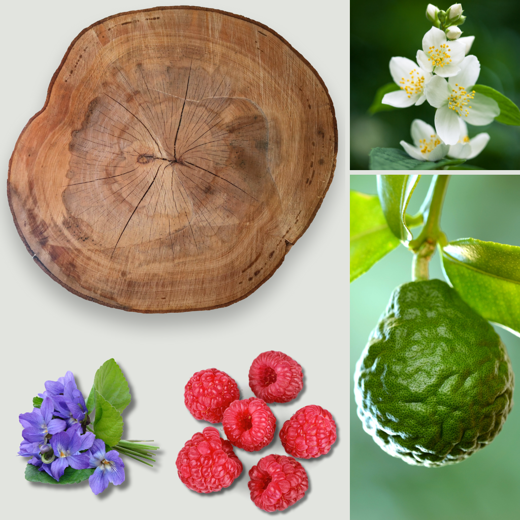 Bloom Berry & Cashmere