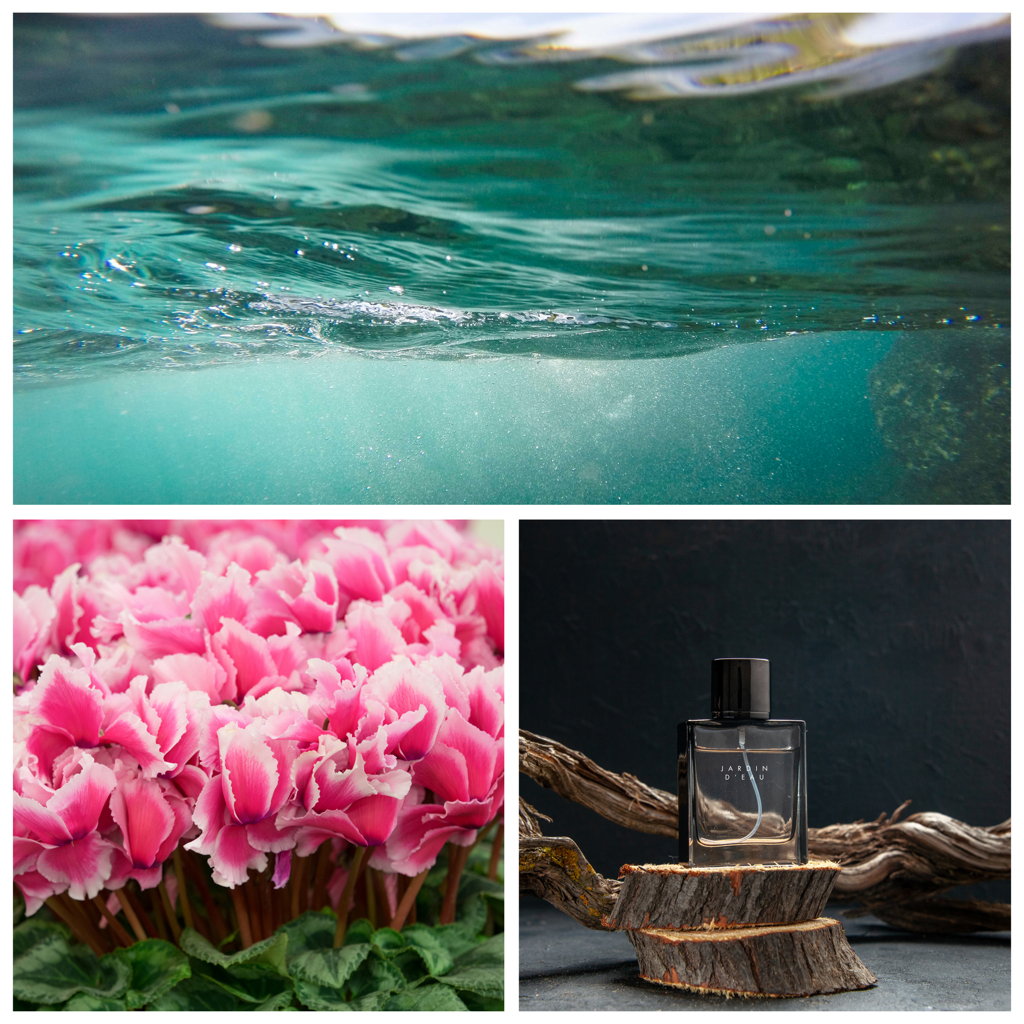 JARDIN D'EAU - Eco Candle Project 