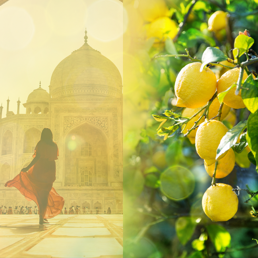 NOBLE OUD & YUZU LEMON - Eco Candle Project 