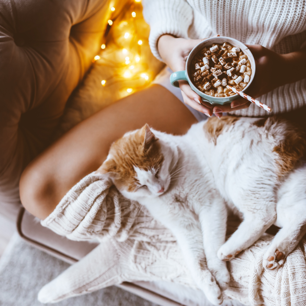 COSY COCOON