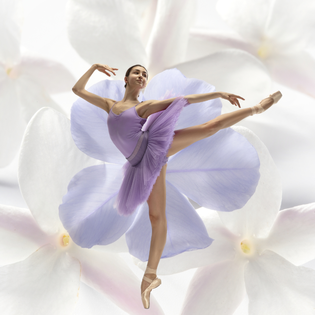 Brisa de terciopelo blanco