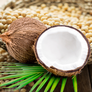 Kerax 4135 Mélange de noix de coco et de soja