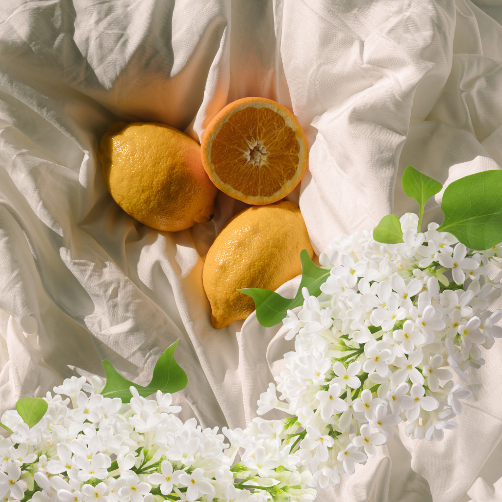 <tc>LINO BESADO POR EL SOL Y YARA YARA</tc>