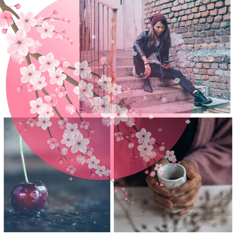 JAPANESE CHERRY BLOSSOM RITUALS - Eco Candle Project 