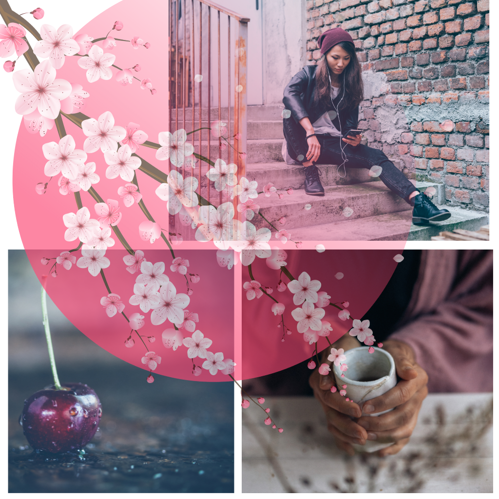JAPANESE CHERRY BLOSSOM RITUALS - Eco Candle Project