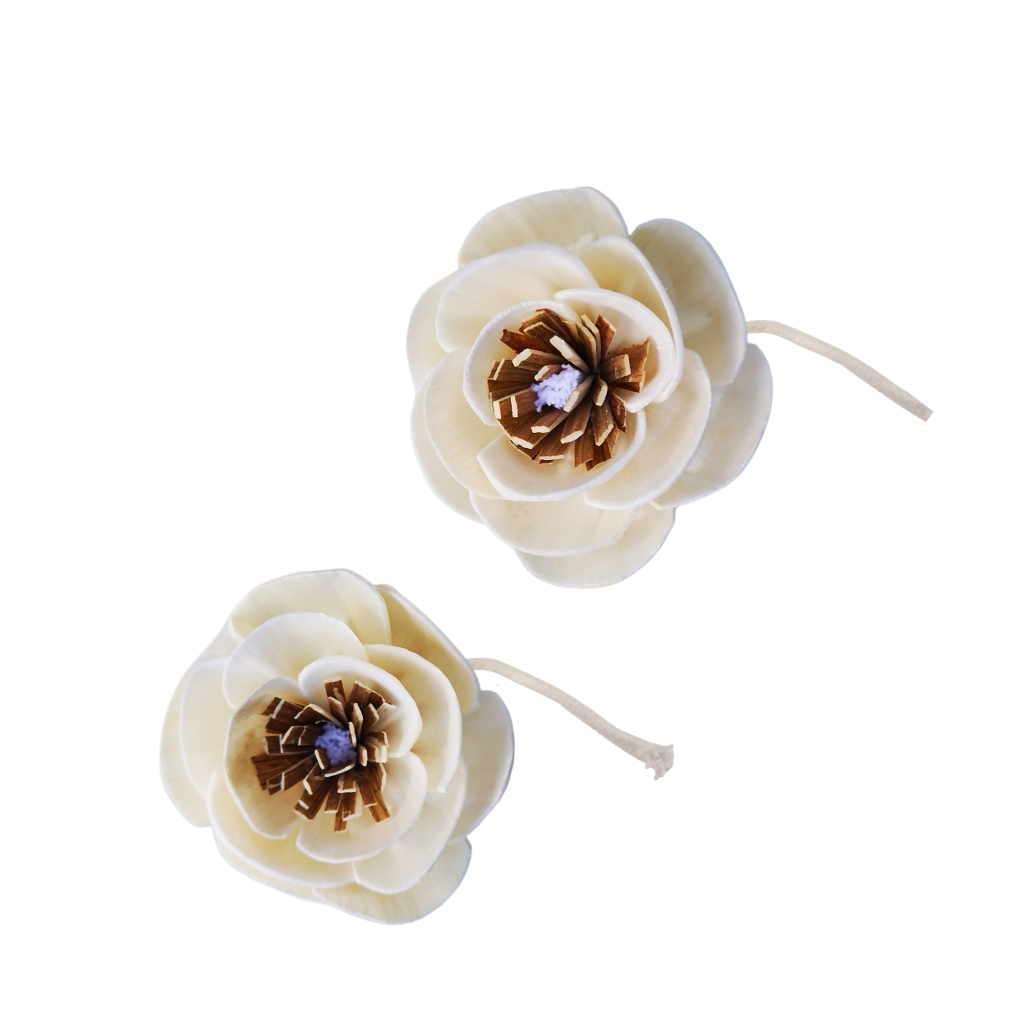 <tc>MOHN MIT SCHNUR BAUMWOLLE</tc>