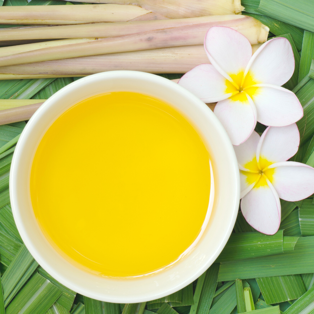 CITRONELLA OF JAVA - Eco Candle Project