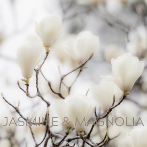 JASMINE & MAGNOLIA - Eco Candle Project 