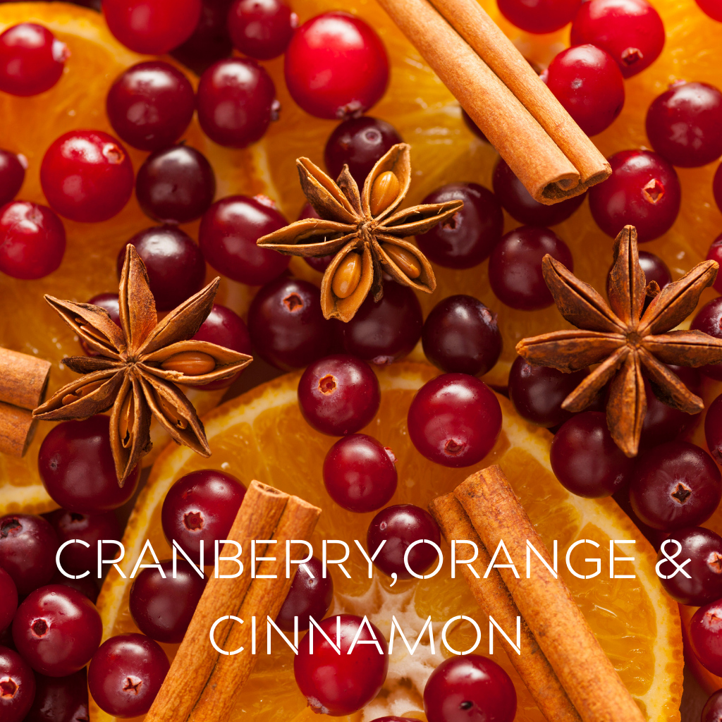 CRANBERRY, ORANGE & CINNAMON - Eco Candle Project 