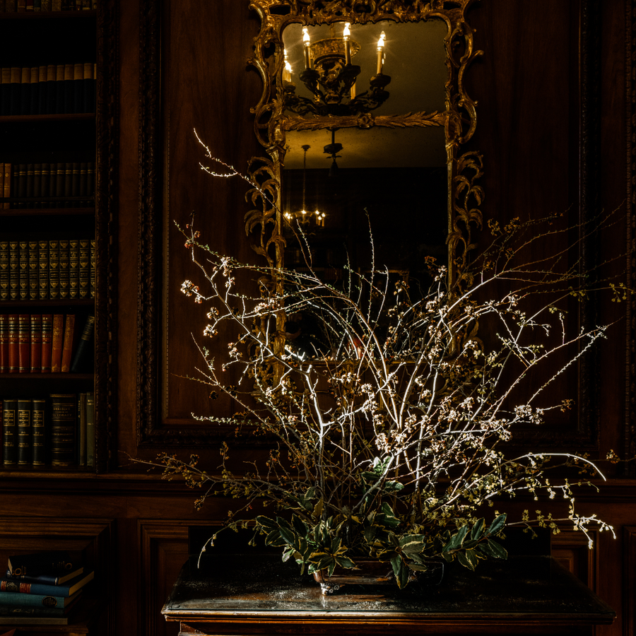 BIBLIOTHEQUE - Eco Candle Project 