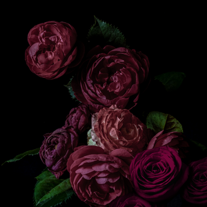 Bulgarian rose oud hotsell