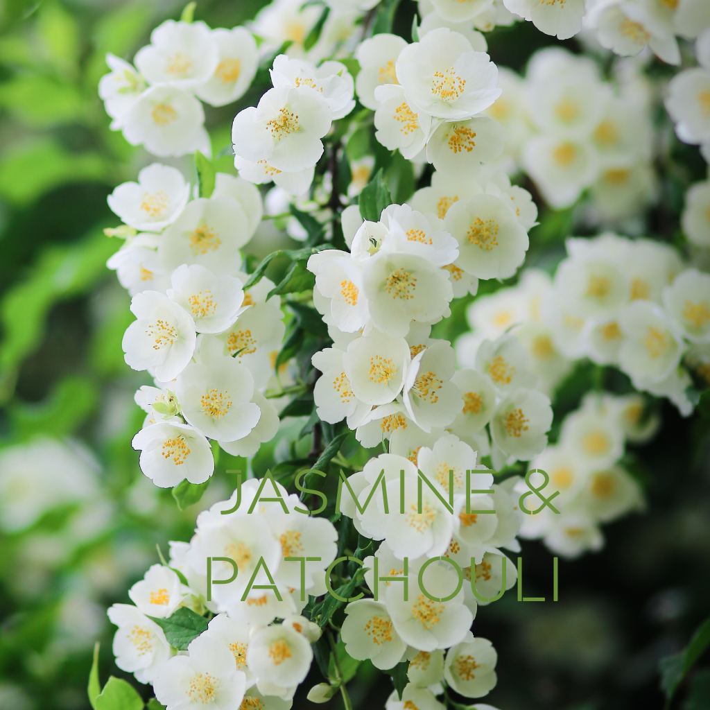 JASMINE PATCHOULI Eco Candle Project
