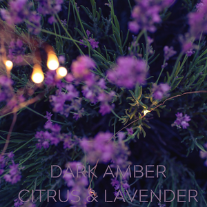BLACK AMBER & LAVENDER - Eco Candle Project 