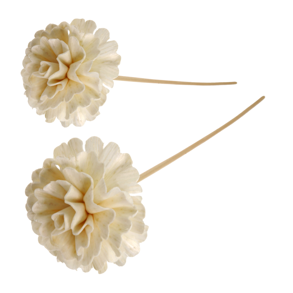 Vickerman Ghirlanda Decorativa Con Garofani E Lanterne Cinesi – Marrone E Crema – 50,8 Cm – Per Interni