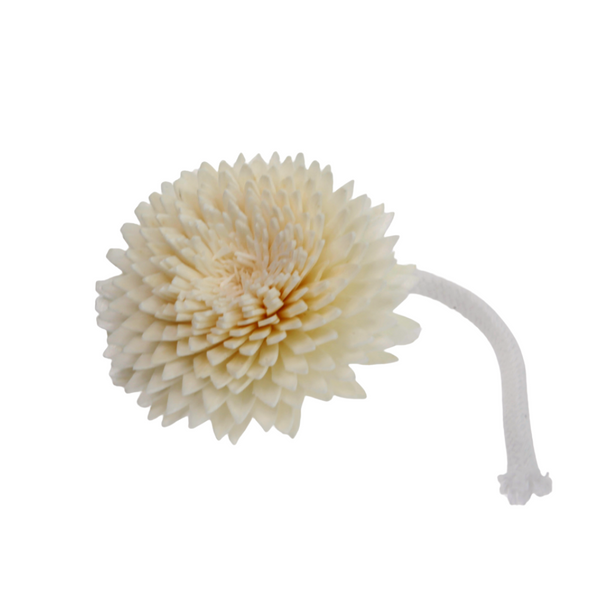 Carnation String CS-021 main image 1