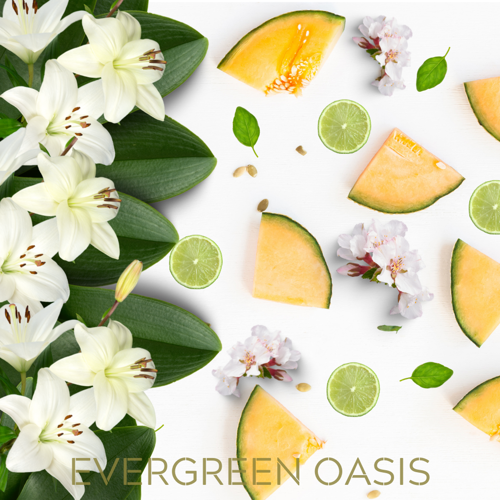 EVERGREEN OASIS - Eco Candle Project 
