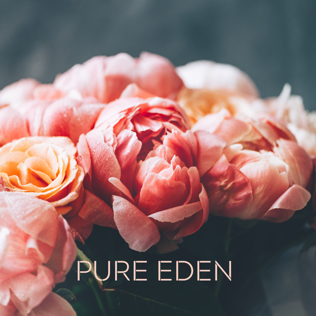 PURE EDEN - Eco Candle Project 