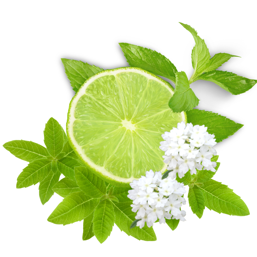 VERVEINE,CITRON VERT & PALMAROSA - Eco Candle Project 